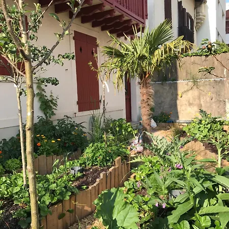 Terrasse Apartman